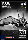 bw-projects4-cover