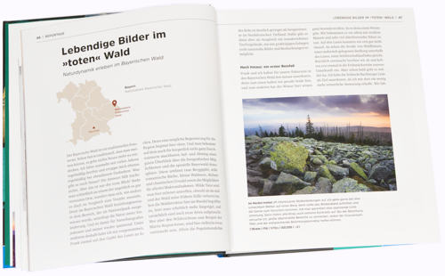 abenteuer-naturfotografie-toterwald