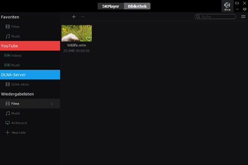 5kplayer-bibliothek