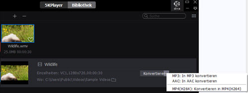 5kplayer-konvertieren
