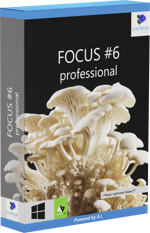 FOCUS #6 professional