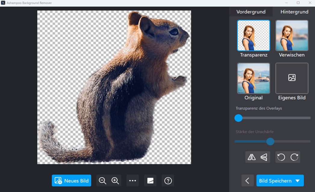 Ashampoo Background Remover - Speichern
