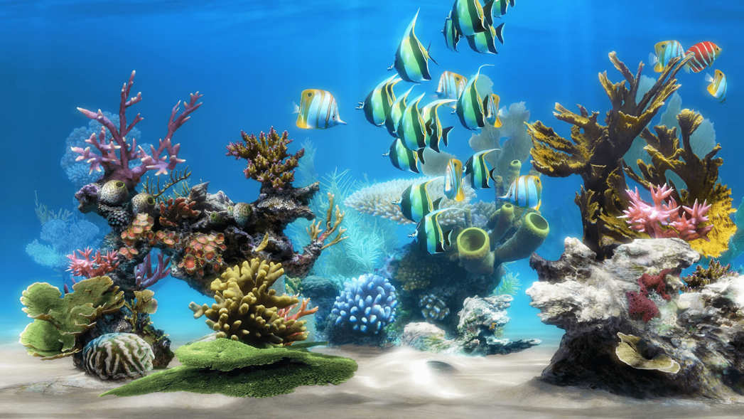 Live Aquarium 4K Redeem Code für kostenlose Vollversionen