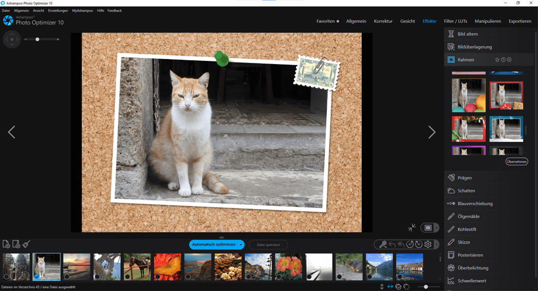 Ashampoo Photo Optimizer 10 Effekt