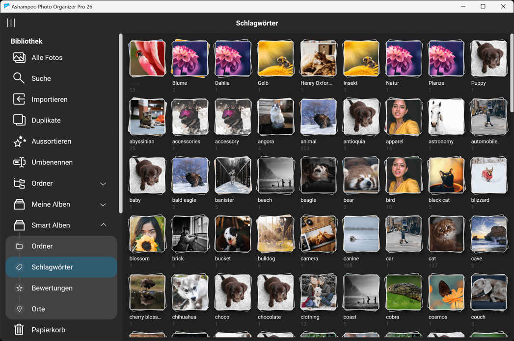 Ashampoo Photo Organizer Pro 26 - Schlagwörter
