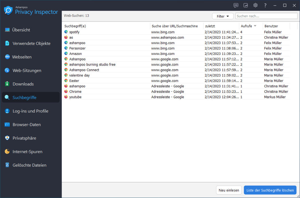 ashampoo-privacyinspector-suchbegriffe