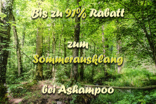 sommerausklang-ashampoo-sep2020