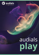 audialsplay-box