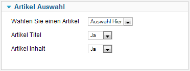 Blank Module - Artikel Auswahl