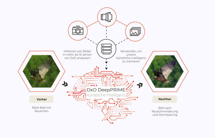 dxo-deepprime-infografik