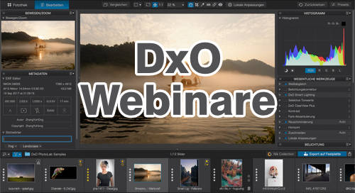 dxo-webinare