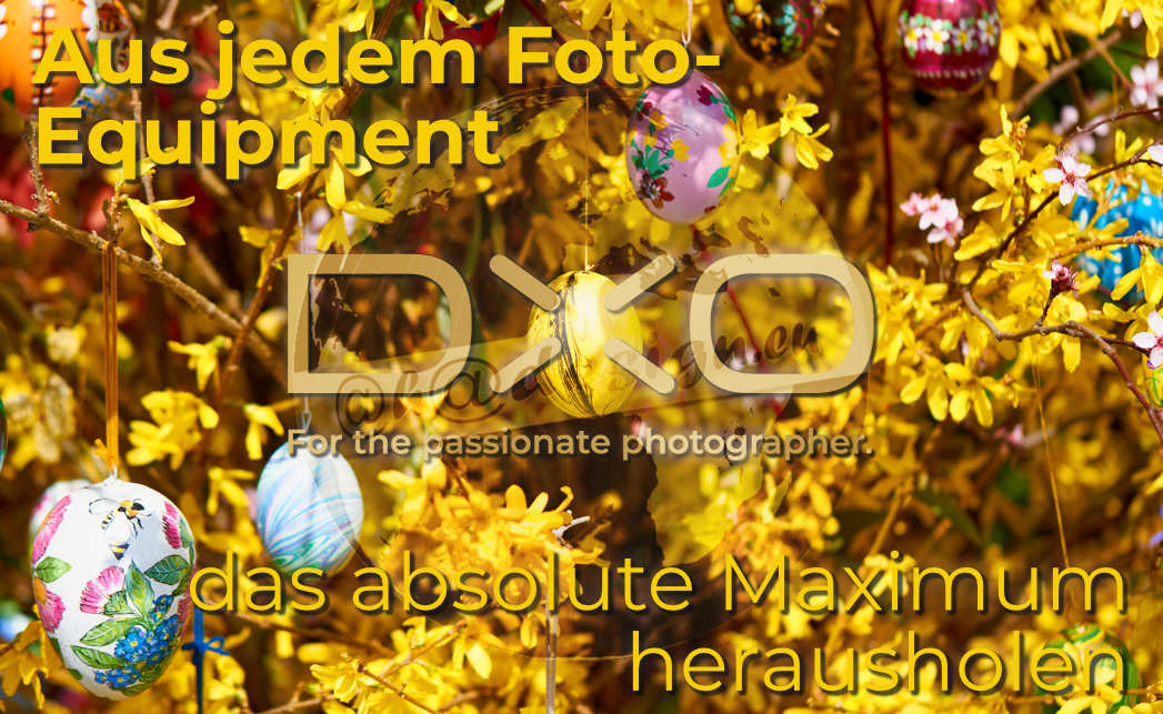 Aus jedem Foto-Equipment das absolute Maximum herausholen