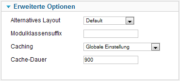 EXT Tabs - Erweiterte Optionen