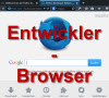 Entwickler Browser