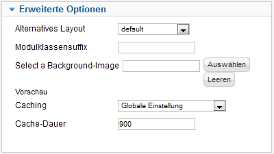 JPanel - Erweiterte Optionen