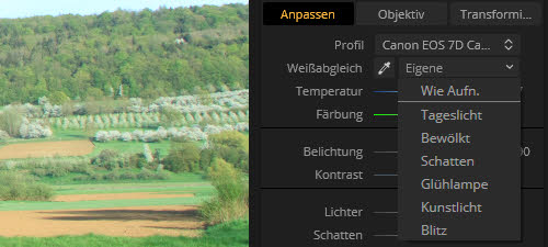 luminar2018update1.3.0-weissabgleich-optionen