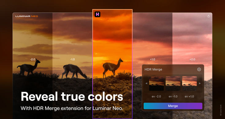 luminar-neo-hdr-merge-wahre-farben