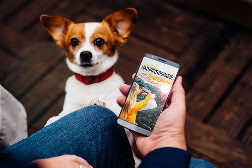 naturfotografie-mit-dem-smartphone-hund