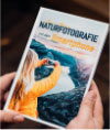 naturfotografie-mit-dem-smartphone