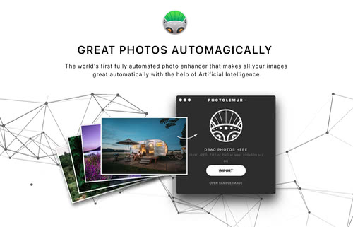 photolemur3-greatphotos