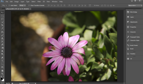 Photoshop CS6