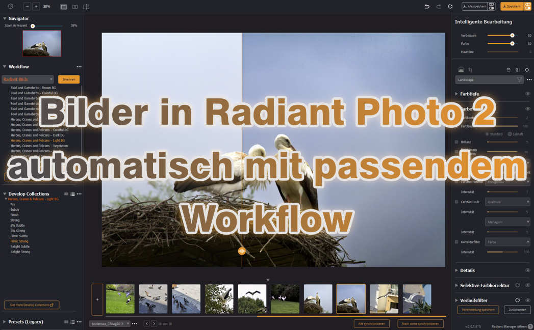 Bilder in Radiant Photo 2 automatisch mit passendem Workflow Bilder in Radiant Photo 2 automatisch mit passendem Workflow