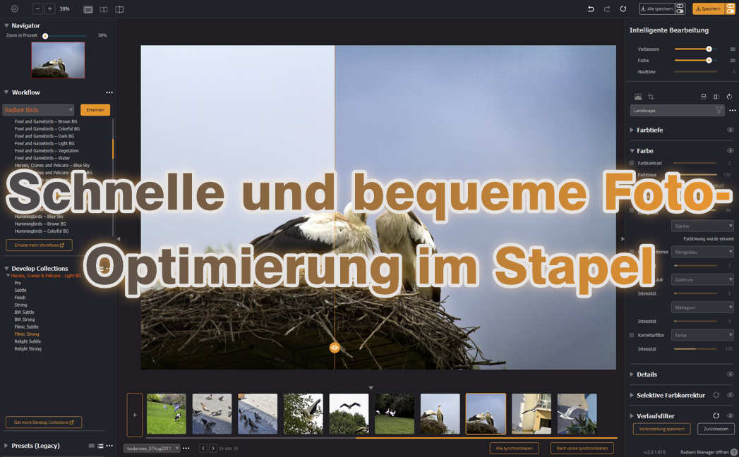 Schnelle und bequeme Foto-Optimierung im Stapel