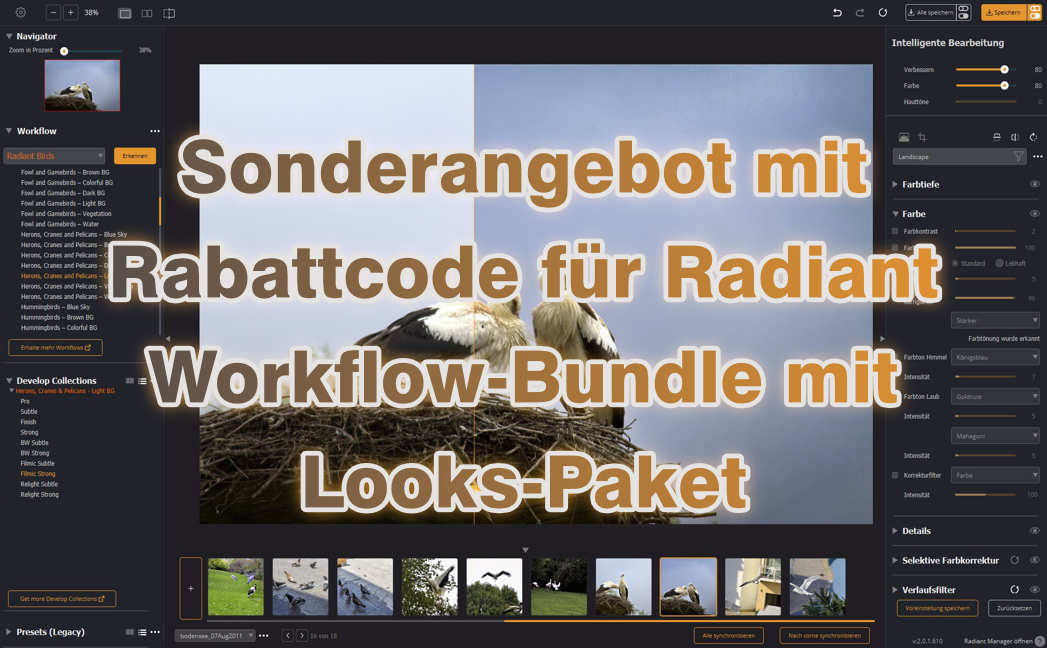 Sonderangebot mit Rabattcode für Radiant Workflow-Bundle mit Looks-Paket