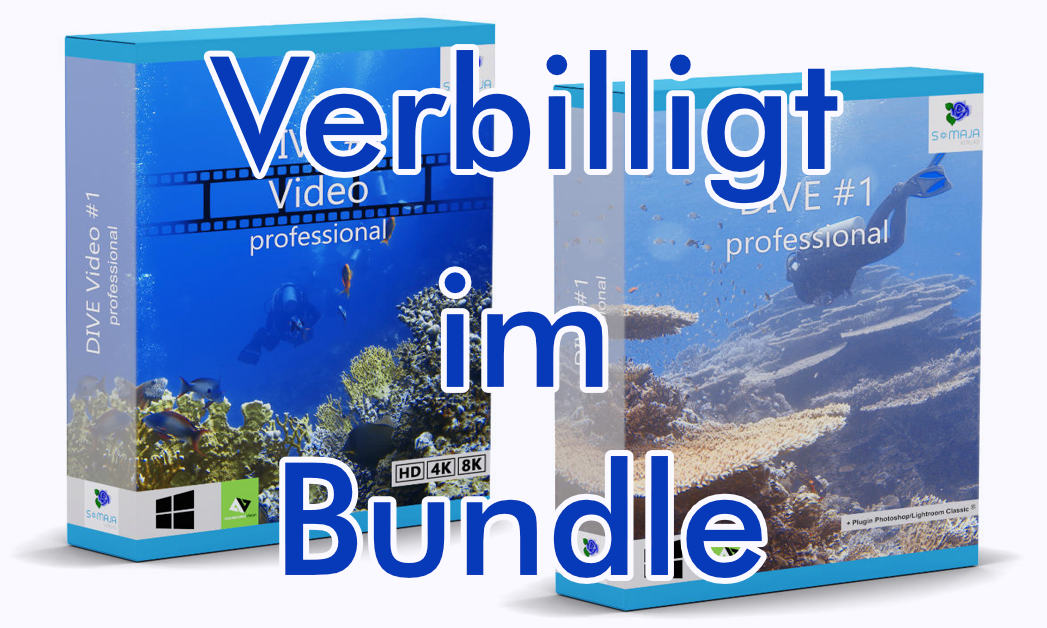 dive-1-bundle