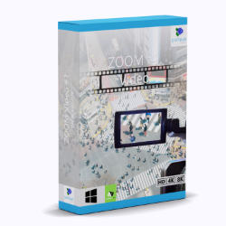 zoom-video-1-professional-box