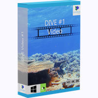 DIVE Video #1 Box