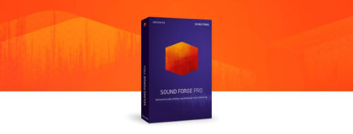 soundforgepro13