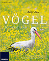 voegel-fotografieren