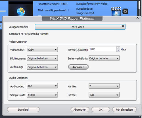 winxdvdripper-video-optionen