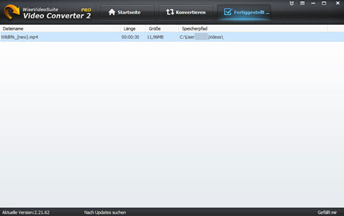 wise-video-converter-fertiggestellt