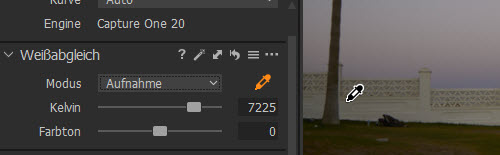 captureone-weissabgleich