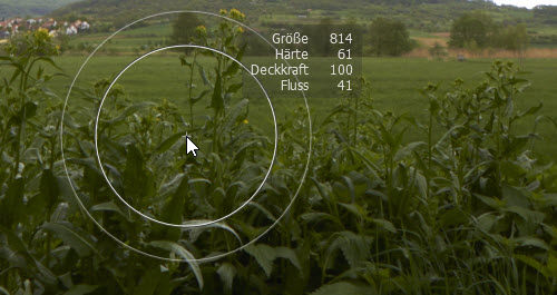 co21-test-einfache-pinseleinstellung