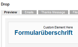 Formularüberschrift