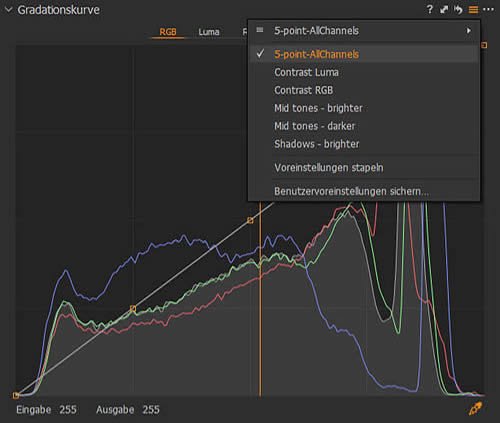 captureone-gradationskurve-5-punkte-voreinstellung