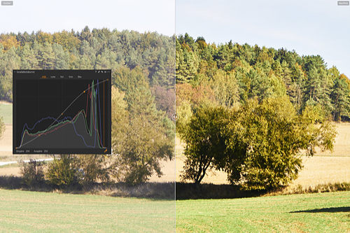 captureone-s-kurve-vergleichsansicht