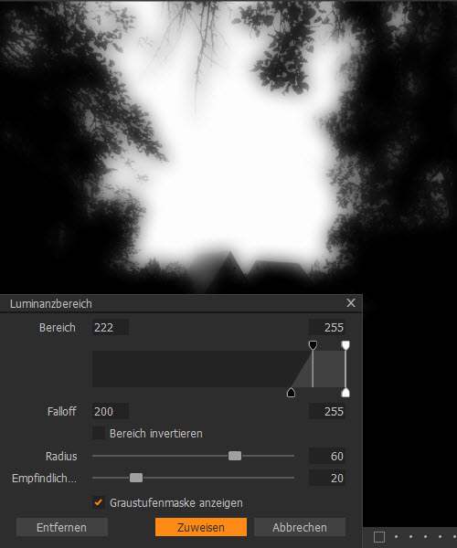 Capture One - Graustufenmaske