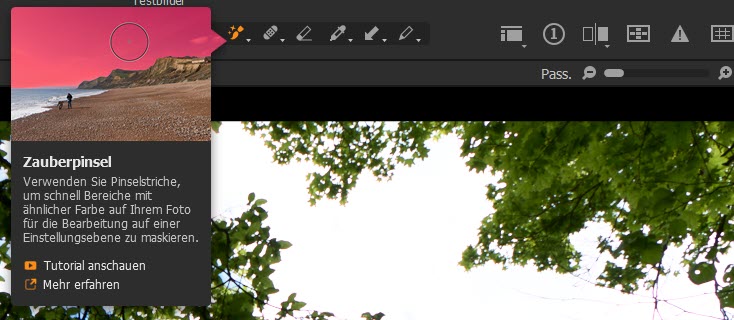 capture-one-zauberpinsel-mauswerkzeug