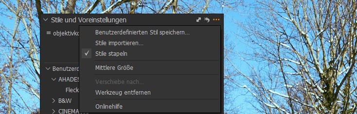 captureone-stile-benutzerdefinierten-stil-speichern