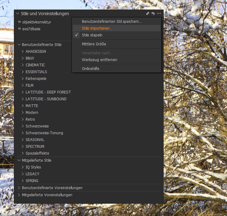 captureone-stile-importieren