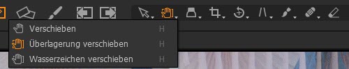 captureone-ueberlagerung-mauszeigerwerkzeug-verschieben
