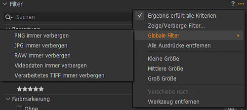 co-tutorial-viewer-bildbrowser-globale-filter