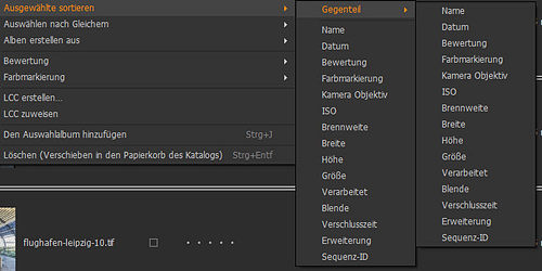 co-tutorial-viewer-bildbrowser-kontextmenue-ausgewaehlte-sortieren
