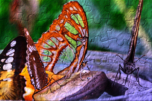 colorprojects5-schmetterling-toenung-papier-puzzle