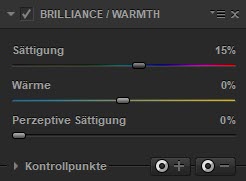 color-efex-pro-brilliance-warmth
