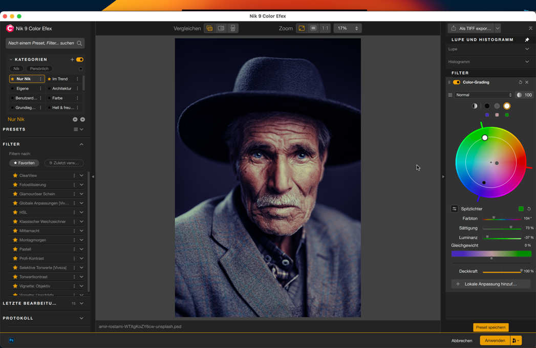 Nik Collection Color Grading Bildlook